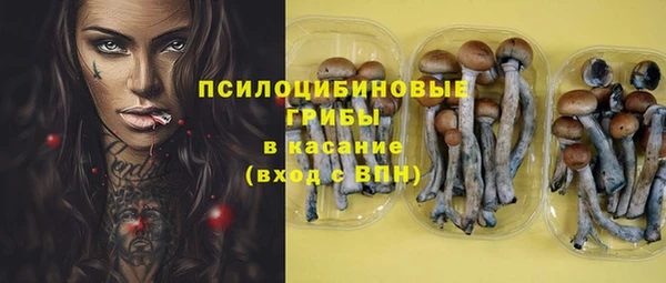 мяу мяу кристалл Иннополис