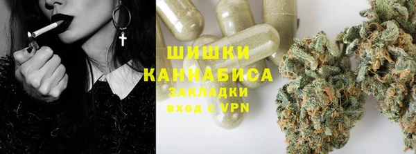 мяу мяу кристалл Иннополис