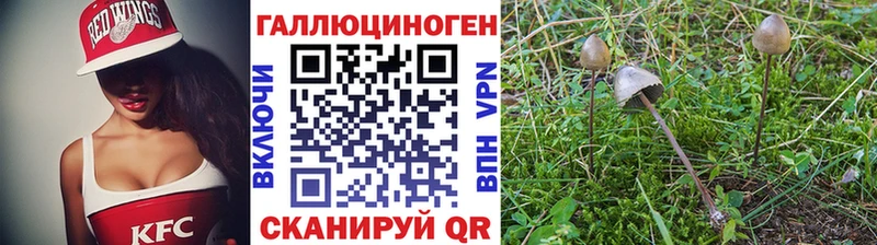 Купить где  Давлеканово  Псилоцибиновые грибы Psilocybine cubensis 